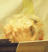 thegreatmingdynasty:  Oh Sungmin … 
