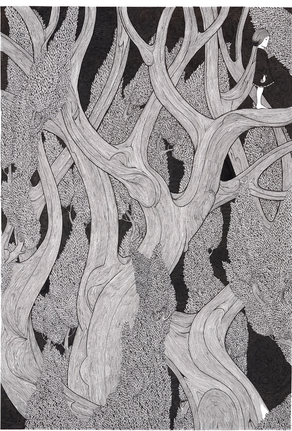 myampgoesto11:  Illustrations by Tom Berry 