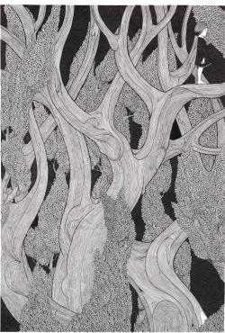 myampgoesto11:  Illustrations by Tom Berry 