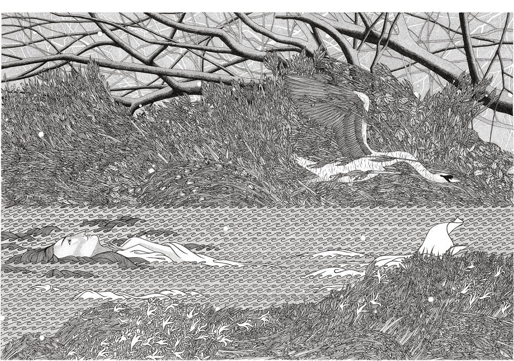 myampgoesto11:  Illustrations by Tom Berry 