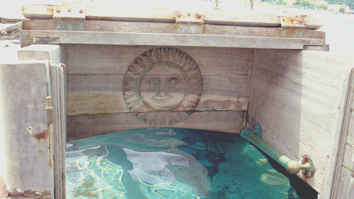 aloasis:  •✩Tropical // Indie✩•