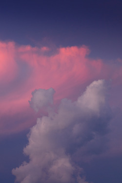c0caino:  pink clouds