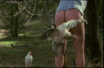soyfeliz-oksi:  jaidefinichon:  no había papel confort po :c  le metieron el pico 