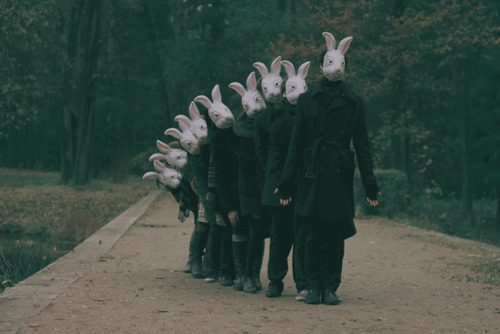 likeafieldmouse:Alena Beljakova - Bunny Land (2009)