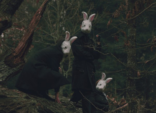 likeafieldmouse:Alena Beljakova - Bunny Land (2009)  nightmares….