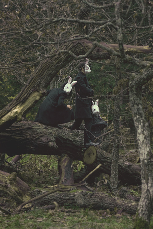 likeafieldmouse:Alena Beljakova - Bunny Land (2009)  nightmares….