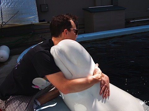 allmybadintentions:a picture of mark hoppus hugging a beluga whale for when you’re feeling sad
