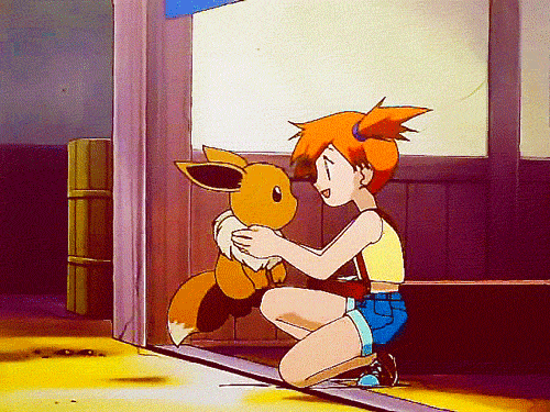 Pokemon Lover