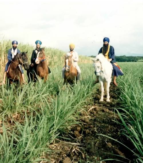 ਚਾਹਲ