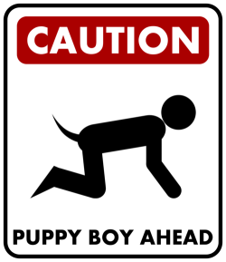 chastepup:  dirtypup:  Fuck yeah puppies!