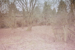 herbookofcoins:  Following a mutual curiosity in UrbEx my boyfriend and I went and explored some abandoned farm cottages he had heard about. I mostly took photos with my digital camera but also took along my film SLR. I only got the film developed last