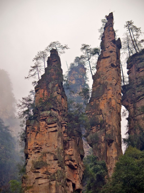 dawnawakened - Zhangjiajie, Hunan, China