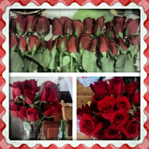 24 beautiful long stem red roses from my future husband :) #youjelly haha (Taken with Instagram)