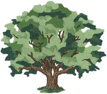 Desenhando uma árvore.