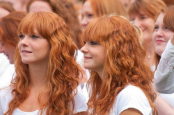 nuderedheads:  In a Sea of Red  This is what I imagine heaven would look like