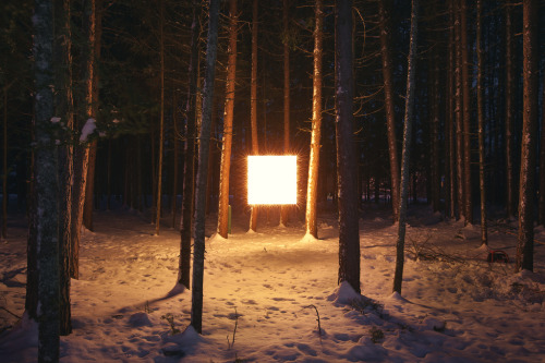 magnolius:  Alternative Landscapes by Benoit Paillé Created out of Benoit’s dislike to traditional landscape photography he took it upon himself to create his on vision of landscape. By installing a cube of light amongst the natural surroundings