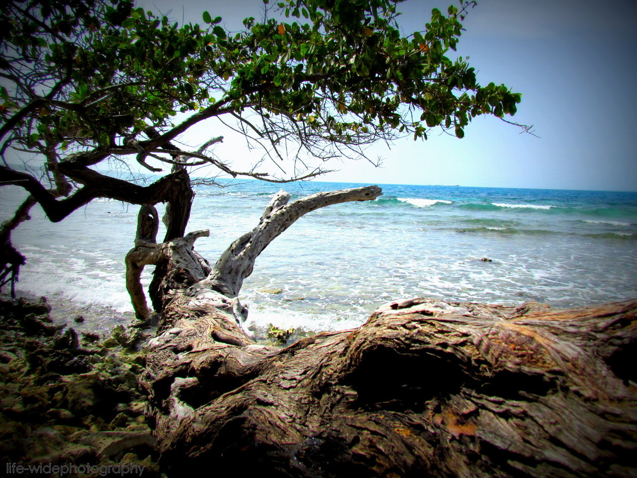 life-widephotography:  went to the beach one last time before school started.  