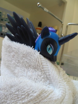 egophiliac:  Nightmare all bundled up after having her hair washed. :E (for the people that asked: the set with Nightmare is a Toys R Us exclusive; the Lyra and Trixie separates I found at KMart, but most people seem to be having more luck finding them