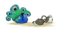 dragoncharming:  The male teacock’s extravagant handles evolved to attract the attention of the drabber-colored teahen. The males with the largest, glossiest, and most brilliantly colored handles will attract a small harem of females. Males compete