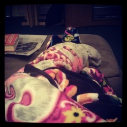 I feel like the poster child for Vera Bradley right now #socomfy (Taken with Instagram)