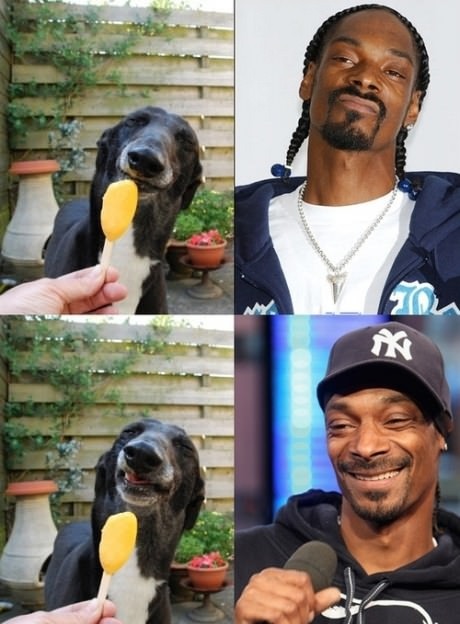 meme4u:  http://memeblock.com/