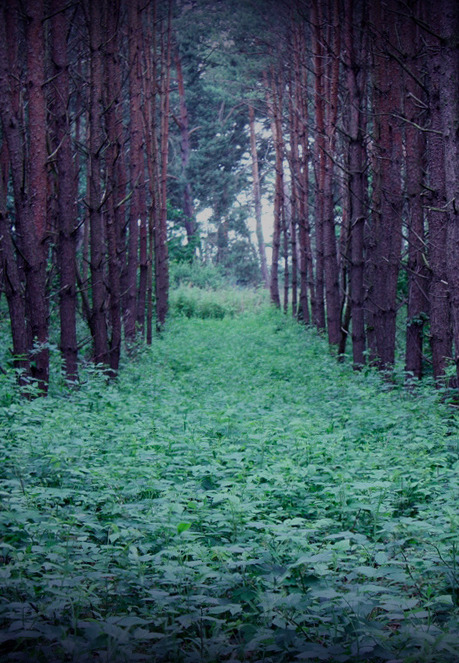 re-ance.tumblr.com/post/30564496995/