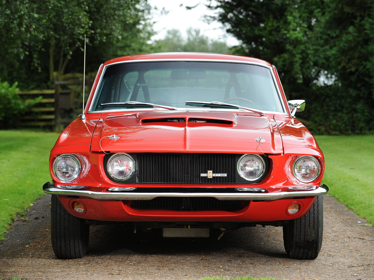 Ford Mustangs