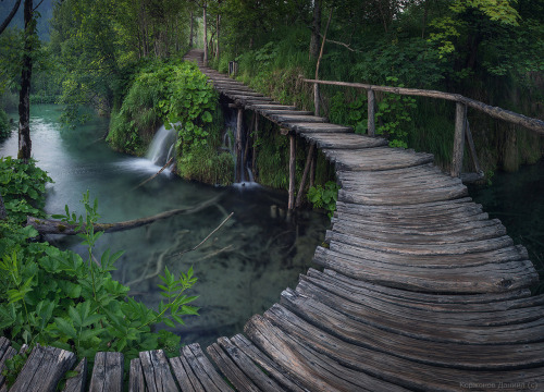 Wooden path in Plitvice Lakes National Park, Croatia (by Daniel Korzhonov).