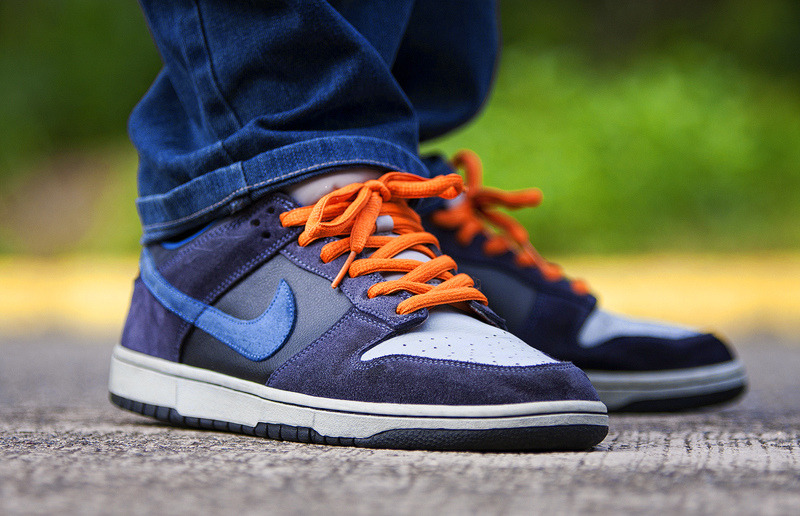 nike sb dunk low patagonia