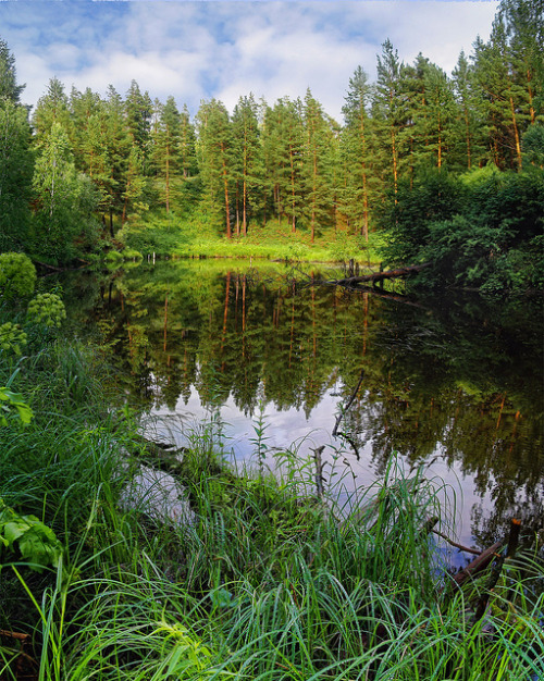 Beaver lake in Karakansky Pine Forest, Siberia, Russia (by TVG_Foto).