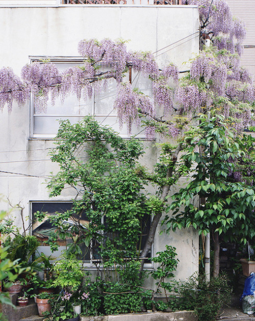 ileftmyheartintokyo: untitled by masaaki miyara on Flickr.