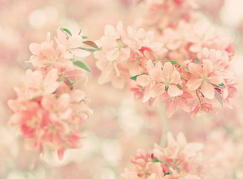 Just Dream