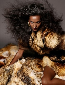 sexyhairs:  Liya Kebede, Ethiopia 