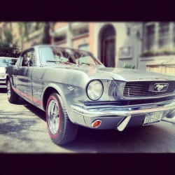 culturevate:  Bow bow bow #mustang #fordmustang #vintagecar #antique #1960s (Taken with Instagram) 