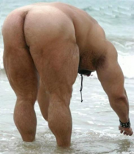 Gay bear men on beach