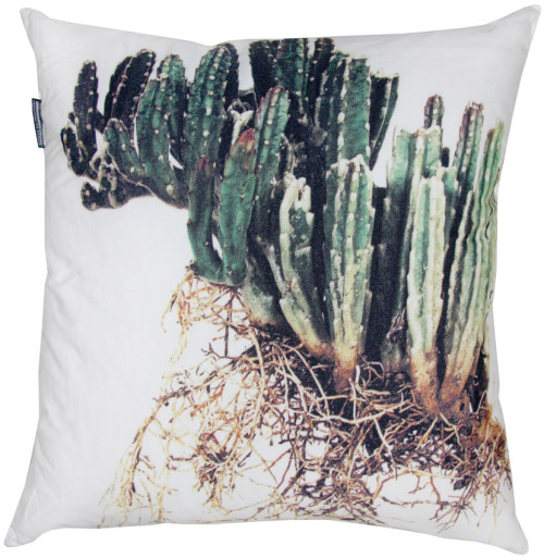 exercicedestyle:lostandjealous:(via Pillows | A R T N A U)