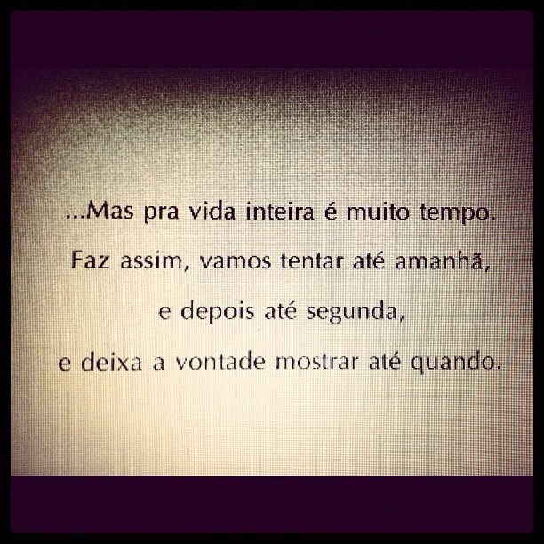 Estante da Carol