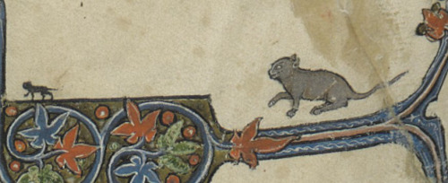‘why so serious’ cat‘Tristan de Léonois’. Arras ca. 1285-1290.BNF, Français 776, fol. 17
