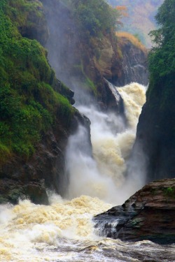 wasbella102:  Murchinson Falls, Uganda  