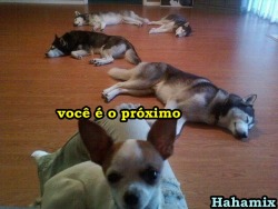 hahamix:  vish