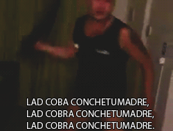randomweas:  LAD COBRA CONCHETUMADRE ENTIENDAN LA HUEA!! 