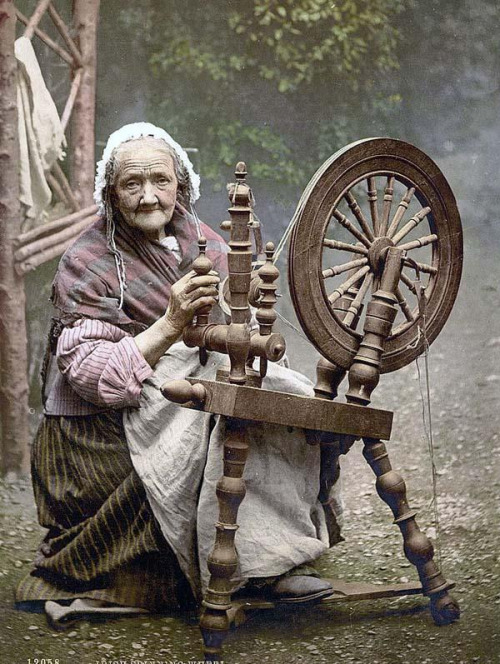 rileyyredd:Here for your browsing pleasure is an extraordinary photo of Irish Spinner and Spinning W