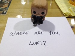 notthehellyourwhales:  alaricsaltzbuns:  tomhiddlesbitch:  cancerously:  superblys:  anti-shipper:  the-greatest-companion:  castaneacreations:  thegoodlannister:  schwarzweis:  thegoodlannister:  My sister got me a Thor bobblehead. This is what I did