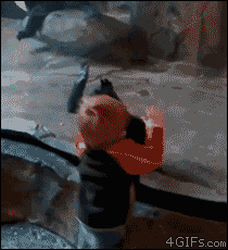 laughingisbetter:  dont play with the human son. 