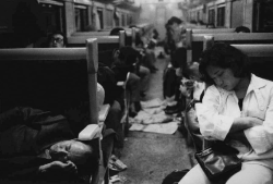 fielo:  Daido Moriyama is a Japanese photographer noted for his images depicting the breakdown of traditional values in post-war Japan. Born October 10, 1938 in Ikeda, Osaka. Daido Moriyama studied photography under Takeji Iwamiya before moving to Tokyo