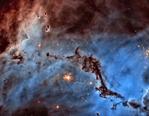 expose-the-light:  The Most Breathtaking Space Pictures You’ve Never Seen Before Hubble Telescope’s Hidden Photo Treasures: 2012 Winners Gallery 