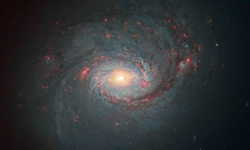 expose-the-light:  The Most Breathtaking Space Pictures You’ve Never Seen Before Hubble Telescope’s Hidden Photo Treasures: 2012 Winners Gallery 