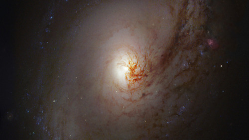 expose-the-light:  The Most Breathtaking Space Pictures You’ve Never Seen Before Hubble Telescope’s Hidden Photo Treasures: 2012 Winners Gallery 