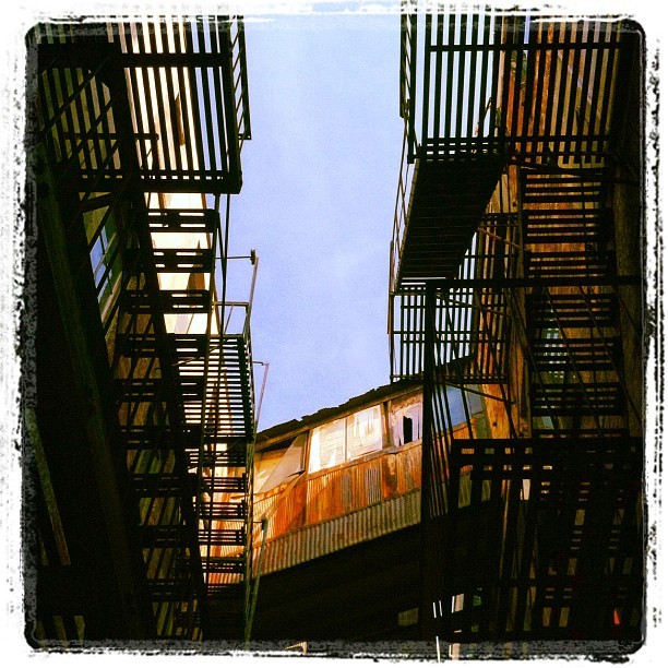 Looking up (Taken with Instagram)