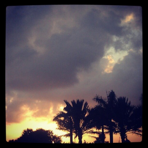 #sun #sunsets #sunset #pretty #sky #palmtrees #southflorida (Taken with Instagram at Lakewood Park)